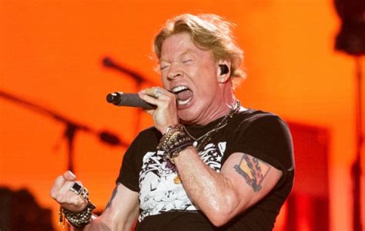 Discovering The Identity Of Axl Rose's Ex-Wife